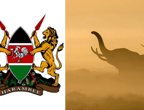 Kenya ETA System News.