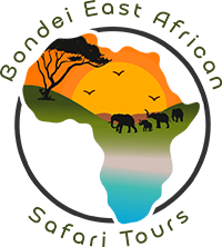Bondei East African Safari Tours Logo – Green text Bondei East African Safari Tours Logo - Green text