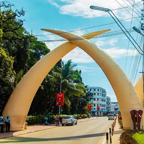 Mombasa entry elephant tusks