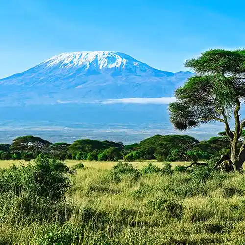 Mount Kilimanjaro view
