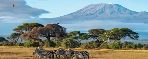 Mount Kilimanjaro view
