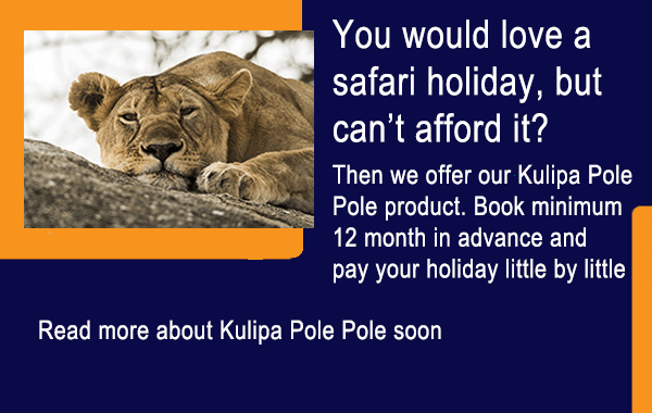 Contact us for Adventure activities in Tanzania and get a free quote