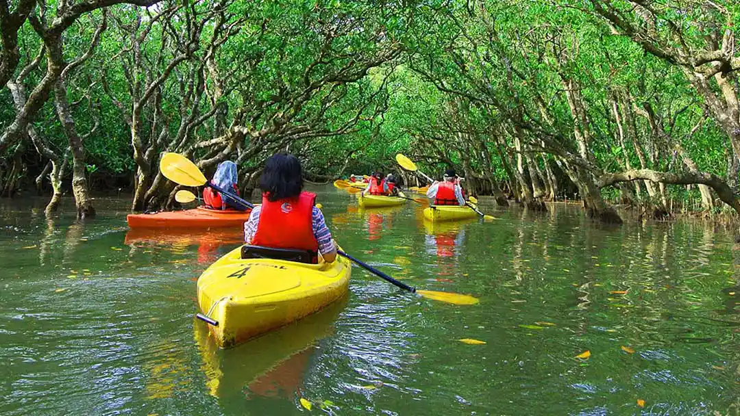 Kayaking at Menai bay
