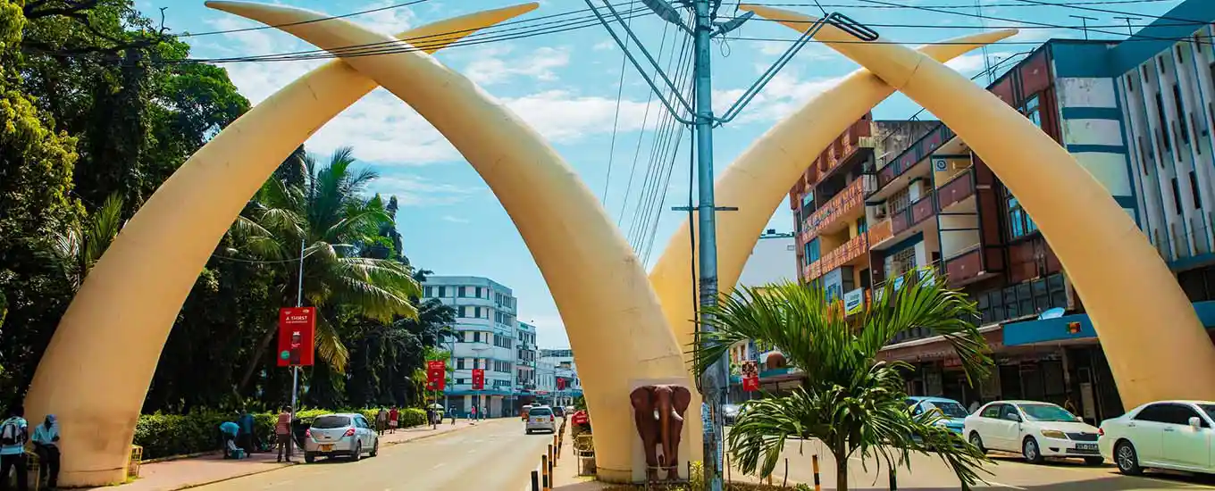 Mombasa entry elephant tusks