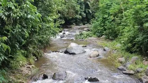 River from Songota falls