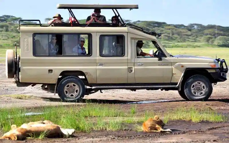 Safari vehicle