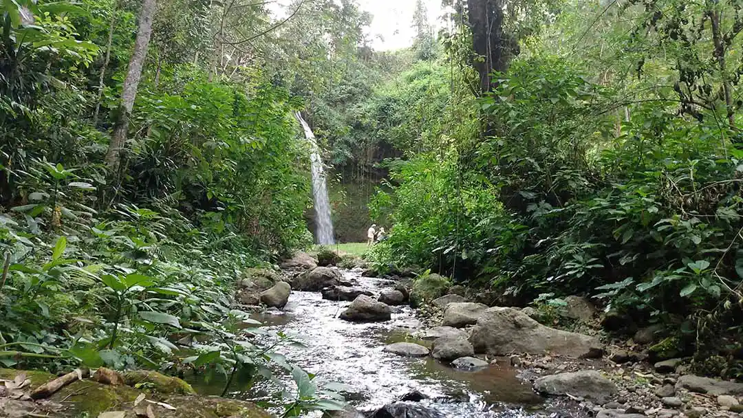 Songota Waterfall view from the river side