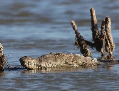 Hidden gems in Kenya