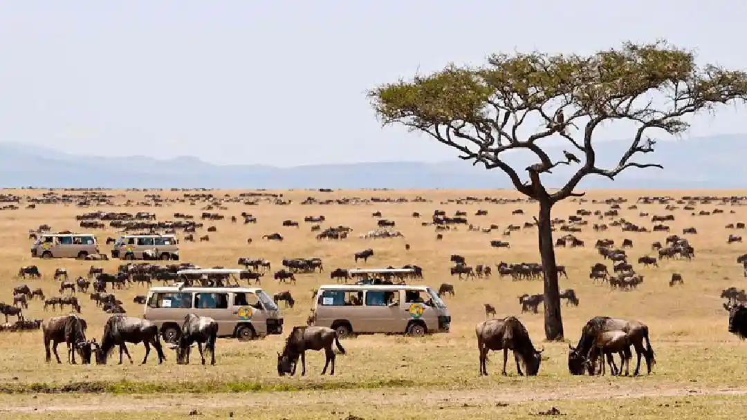 Masai Mara